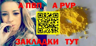 амф Кингисепп