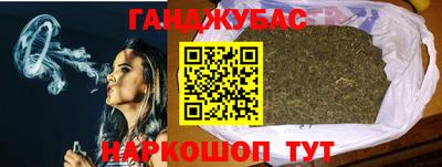 амф Кингисепп