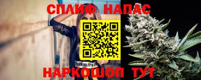 амф Кингисепп