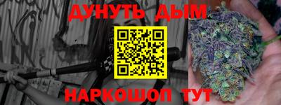 амф Кингисепп