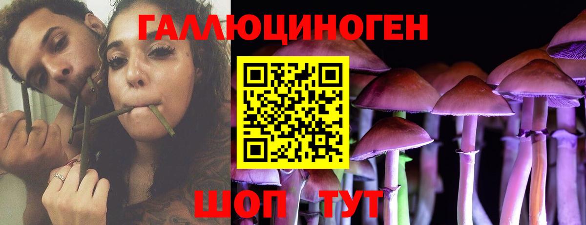 Галлюциногенные грибы GOLDEN TEACHER Кстово
